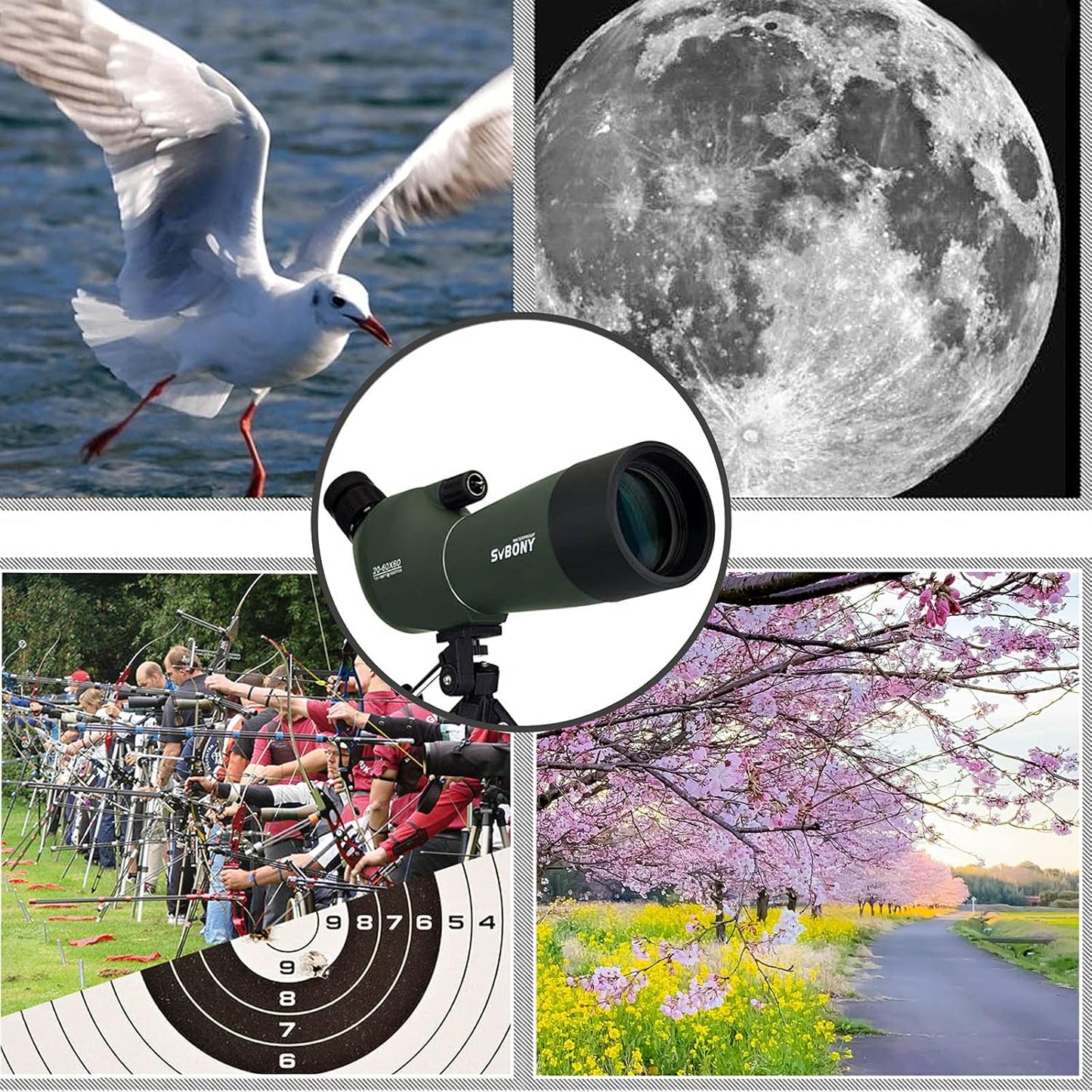 Longue Vue SV28 25-75x70mm met Statief - SVBONY