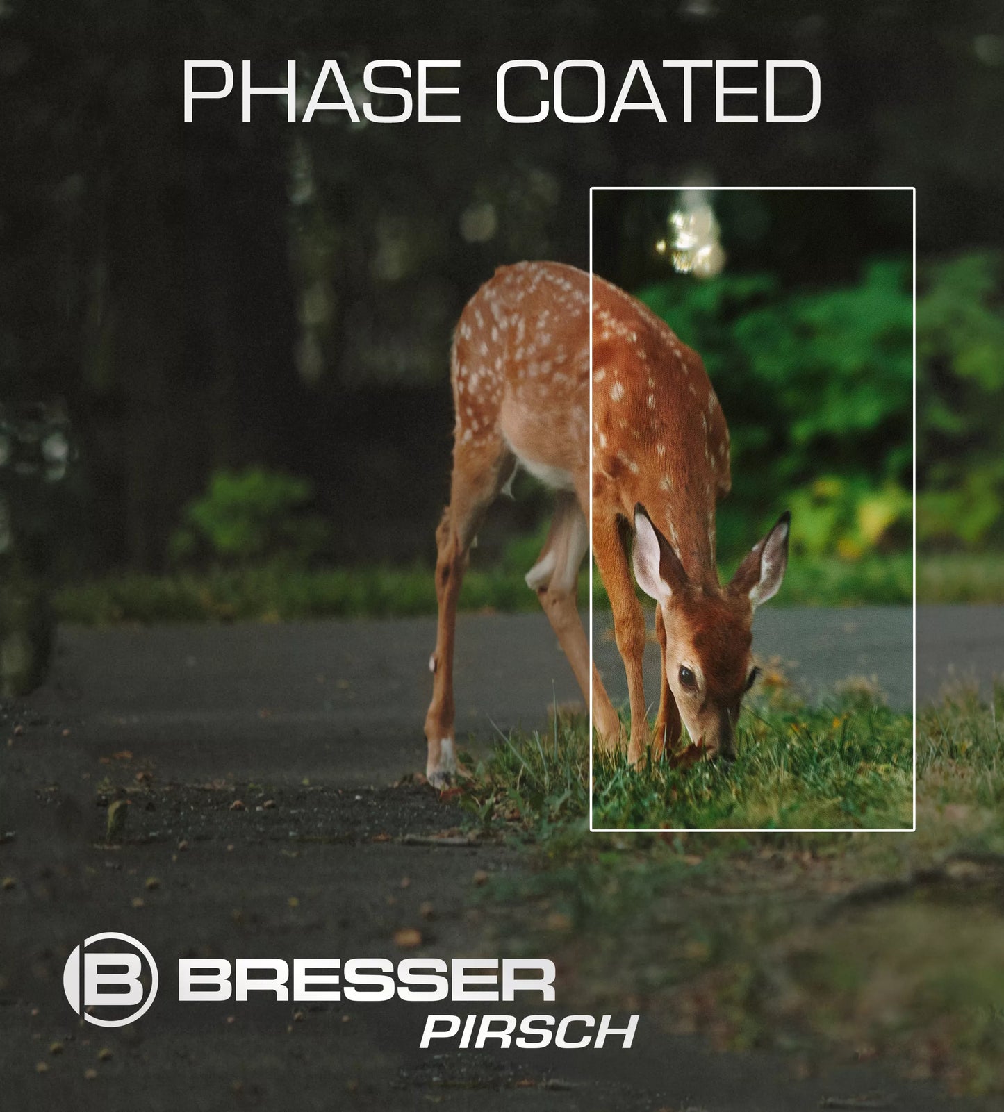 Jumelles Pirsch 10x34 Phase Coating