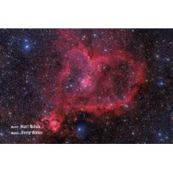 Télescope CGX-L RASA 11'' pour l'astronomie - Celestron