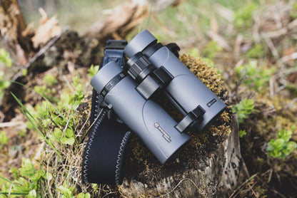 Pirsch ED 8x42 Phase Coating Binoculars
