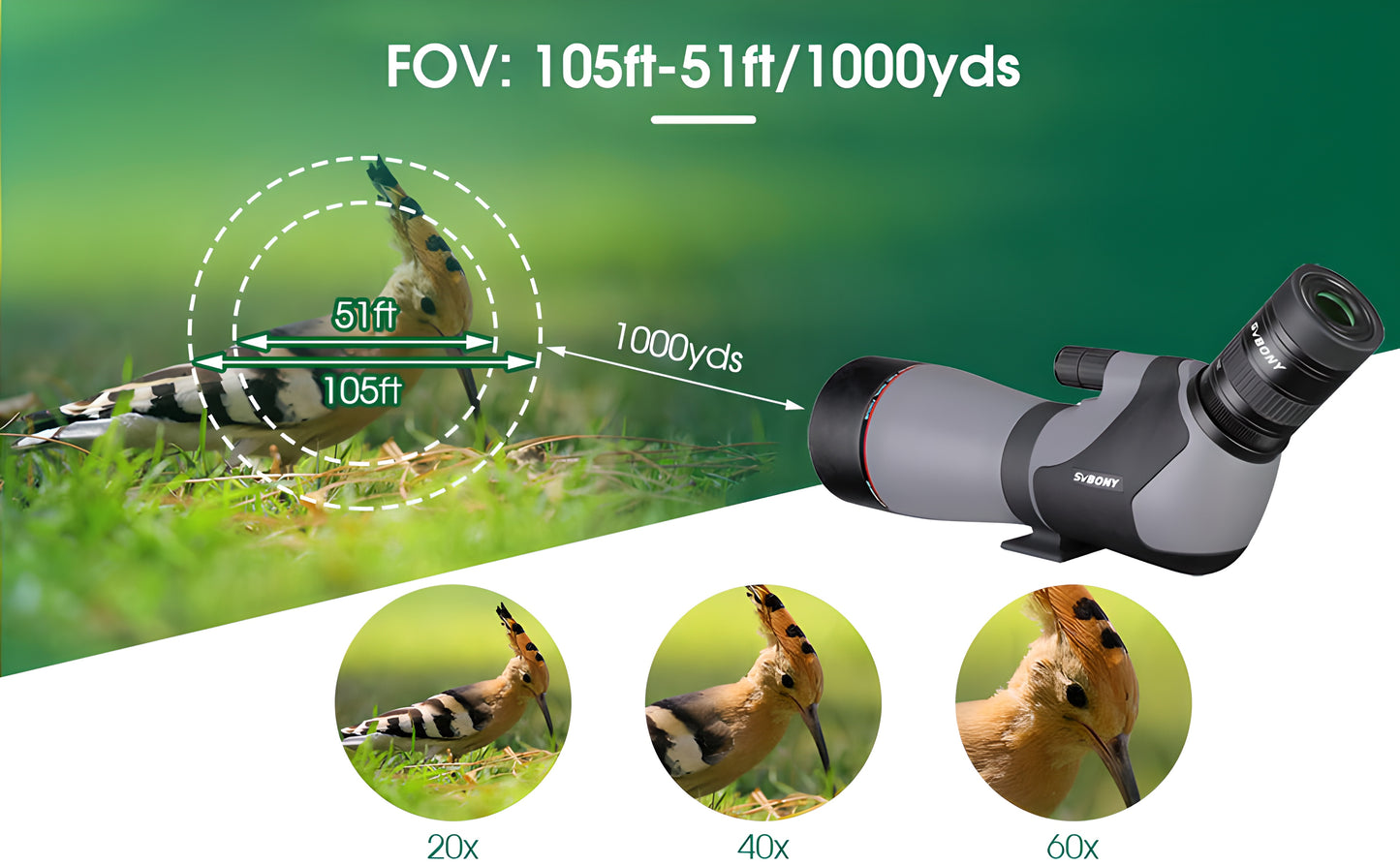 Teleskopas SV46P 20-60x80 ED - SVBONY