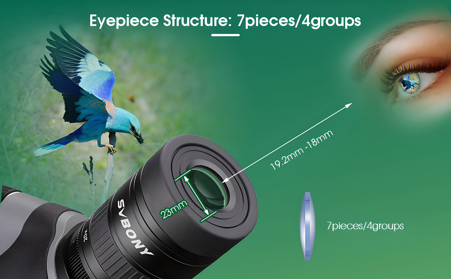 Teleskopas SV46P 20-60x80 ED - SVBONY