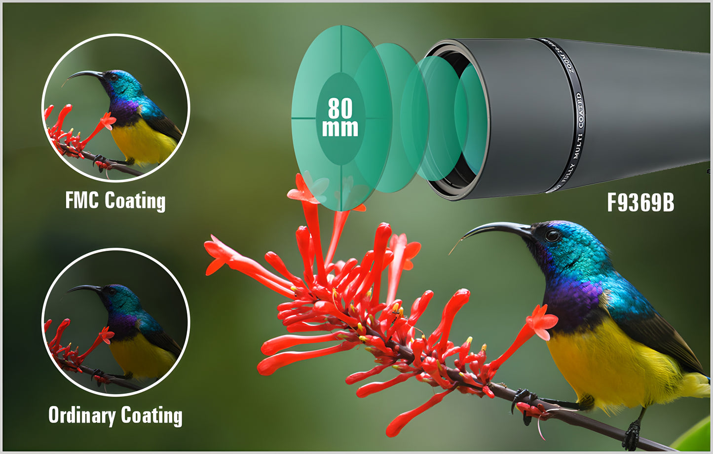 SV411 Spotting Scope with Powerful 20X to 60X Zoom - Available in 70mm and 80mm