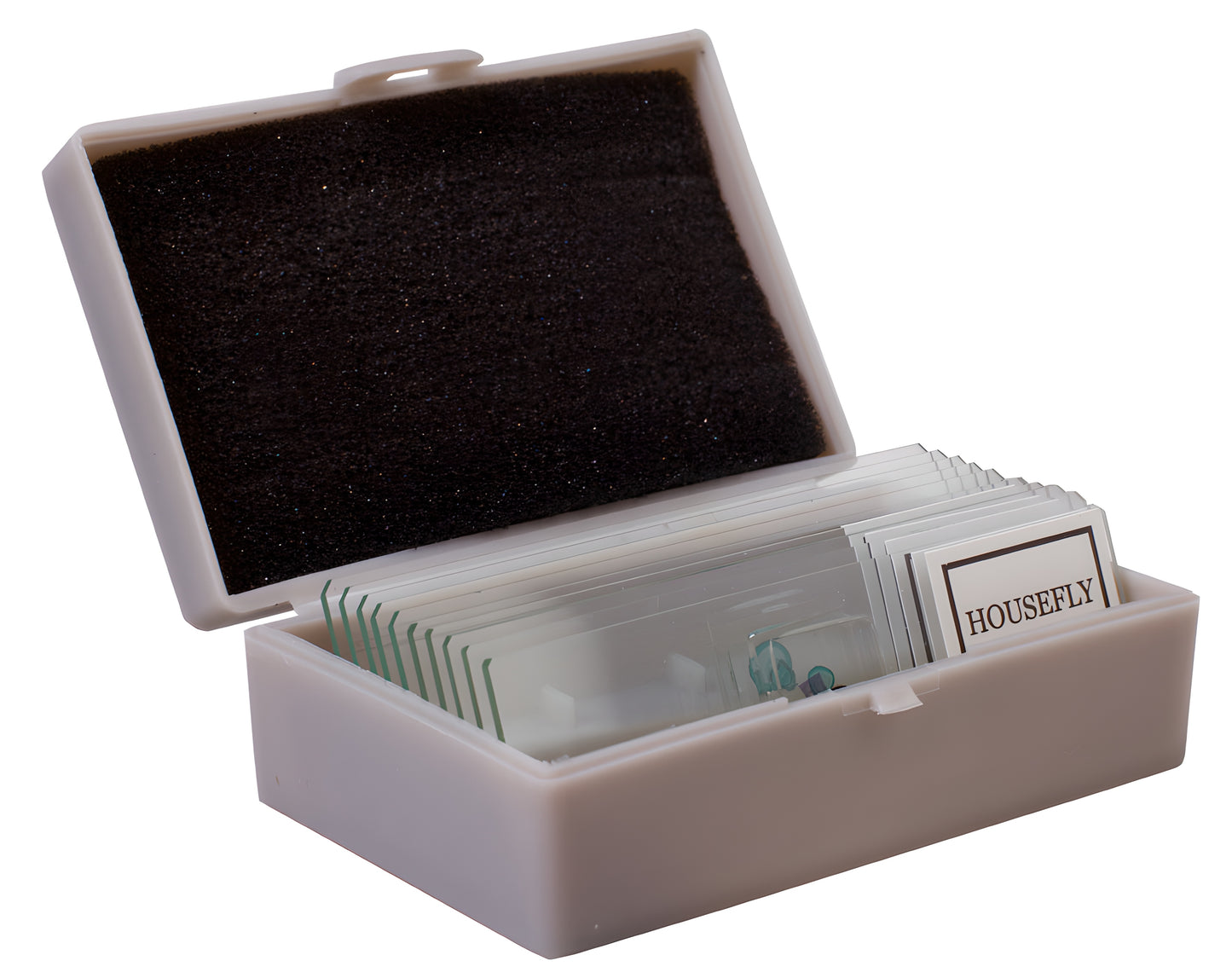 Kit d’expériences pour microscope avec guide et accessoires Levenhuk