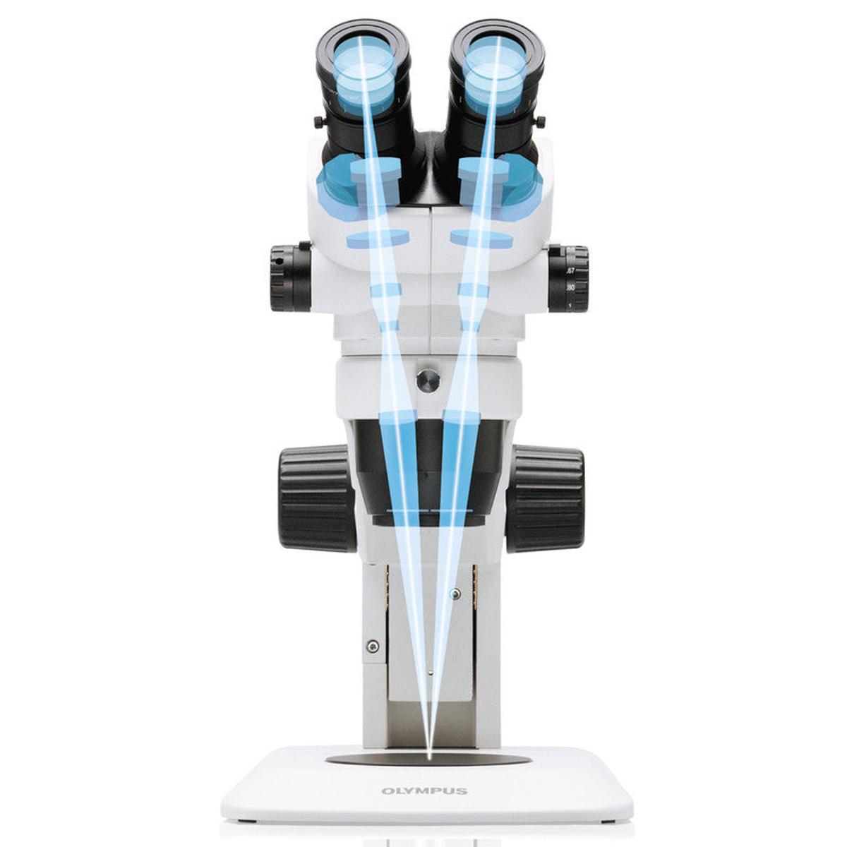 Microscope stéréoscopique trinoculaire SZ61TR 6,7–45× LED - Evident Olympus