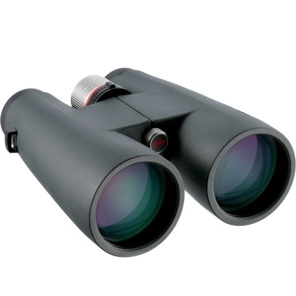 Jumelles BD 8x56 XD Prominar pour la nature et l’astronomie - Kowa