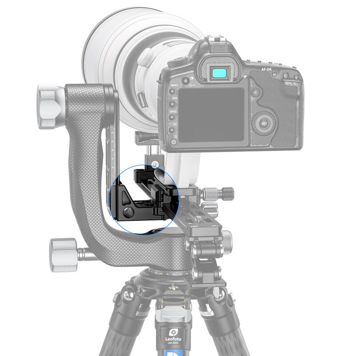 Adaptateur à double pince Arca-Swiss DDC-50B Leofoto