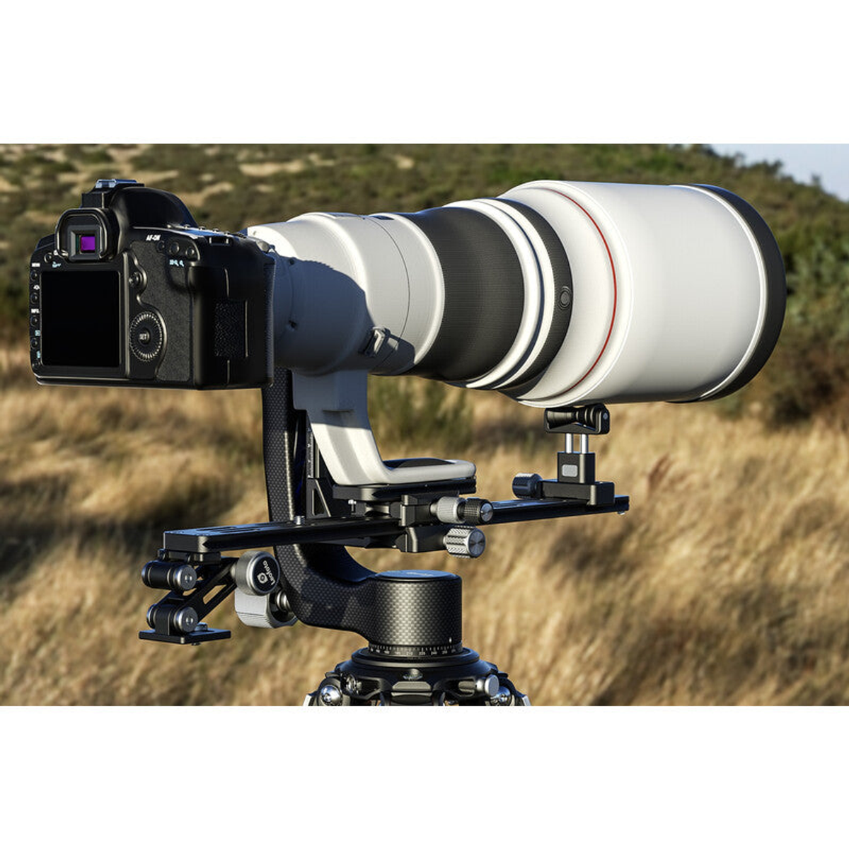 Adaptateur à double pince Arca-Swiss DDC-50B Leofoto