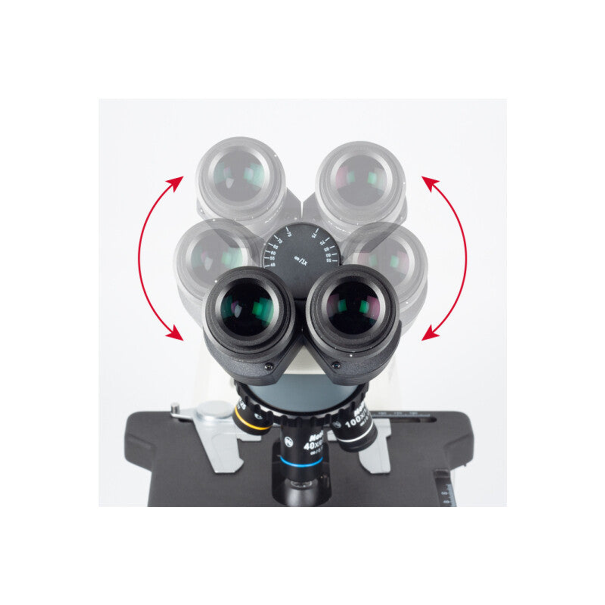 Microscope binoculaire BA310E à optique à l’infini 40x à 1000x - Motic