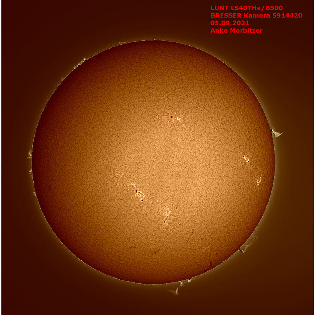 Télescope solaire H-alpha 40/400 avec porte-oculaire à crémaillère - Lunt Solar Systems