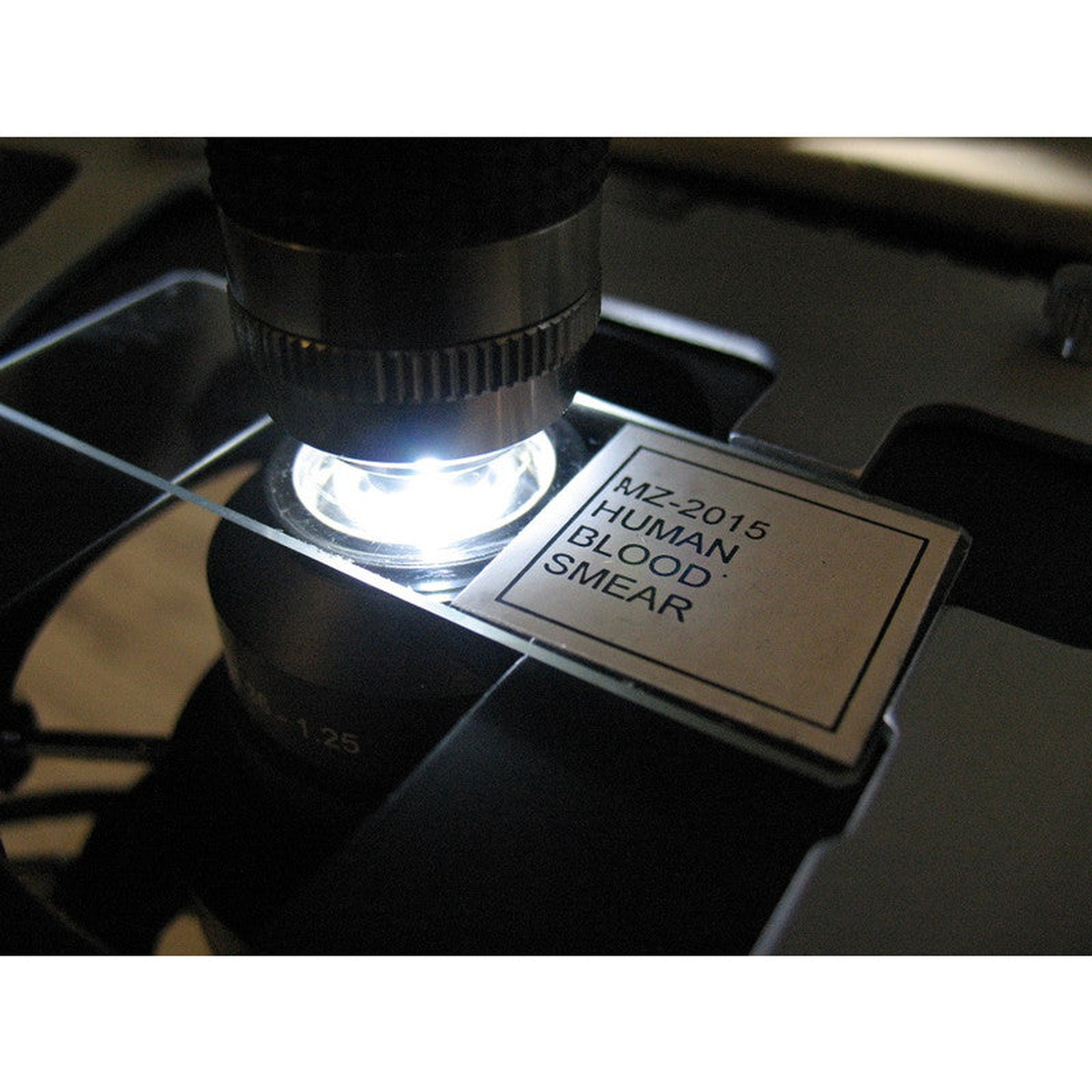 Microscope trinoculaire B-383DK 40x à 1000x LED avec fond clair et fond noir - Optika