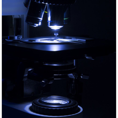 Microscope trinoculaire B-1000BF champ clair sans objectifs, X-LED8 8 W - Optika