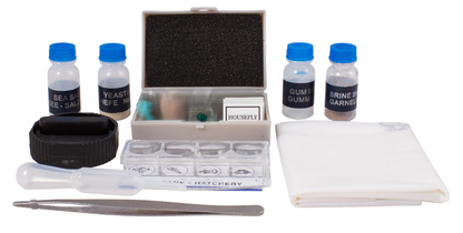 Kit d’expériences pour microscope avec lames et spécimens – Levenhuk K50