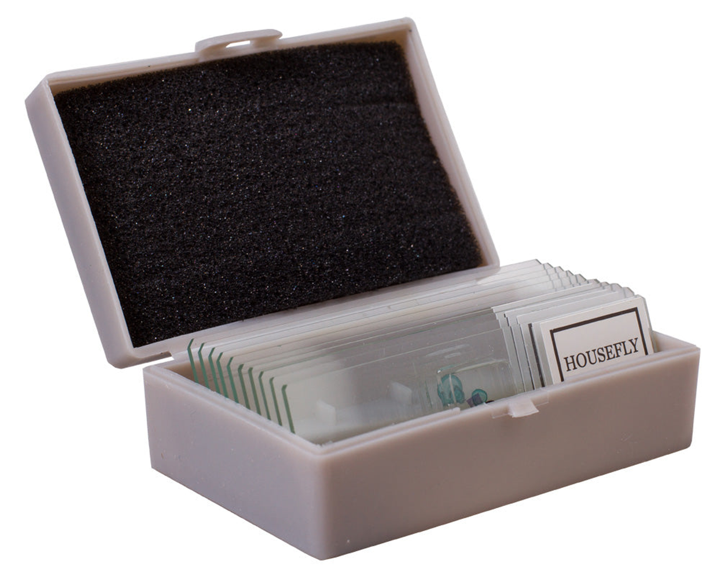 Kit d’expériences pour microscope avec lames et spécimens – Levenhuk K50