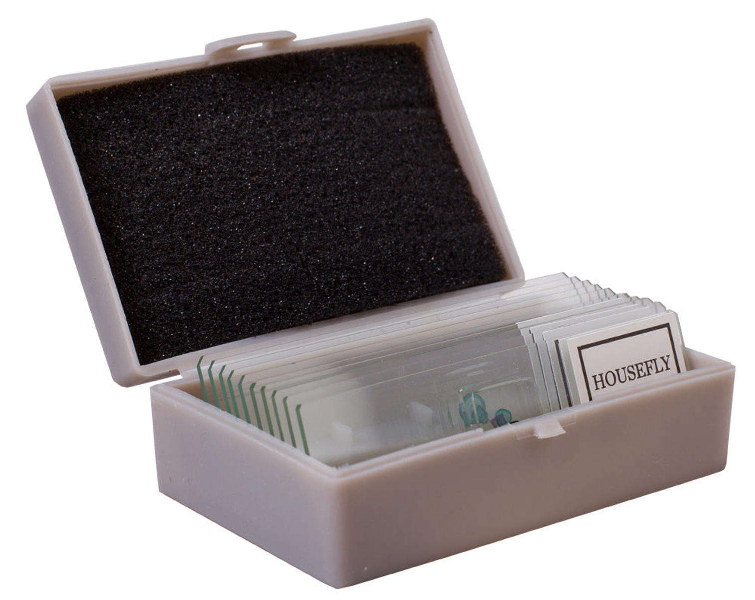 Kit d’expériences pour microscope avec lames et spécimens – Levenhuk K50