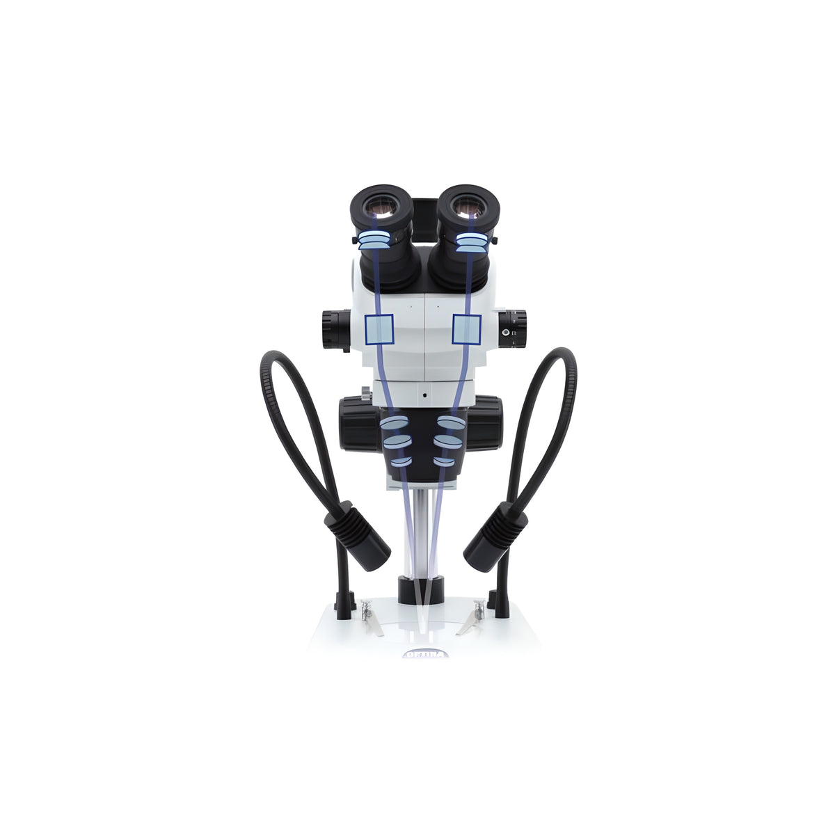 Stéréomicroscope binoculaire zoom 6,7x à 45x pour la minéralogie - Optika