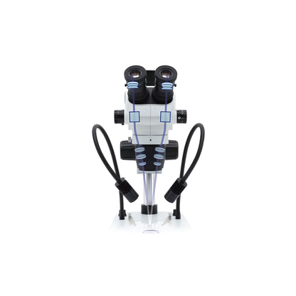 Stéréomicroscope binoculaire zoom 6,7x à 45x pour la minéralogie - Optika