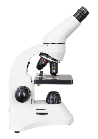 Microscope numérique Rainbow D50L PLUS 2M Moonstone Levenhuk