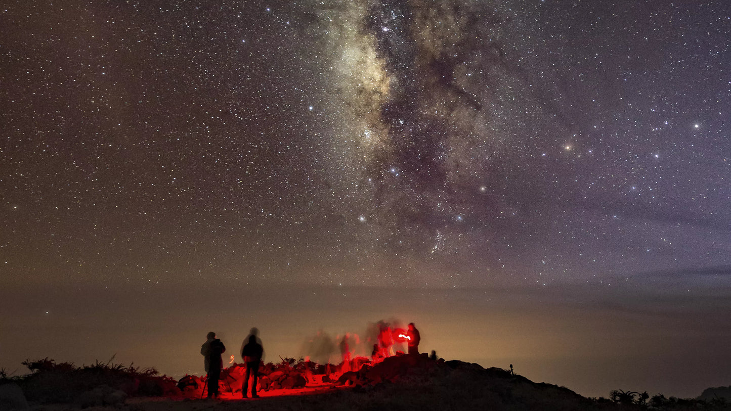 BRESSER StarTracker Mount Photo Astronomique PM-100