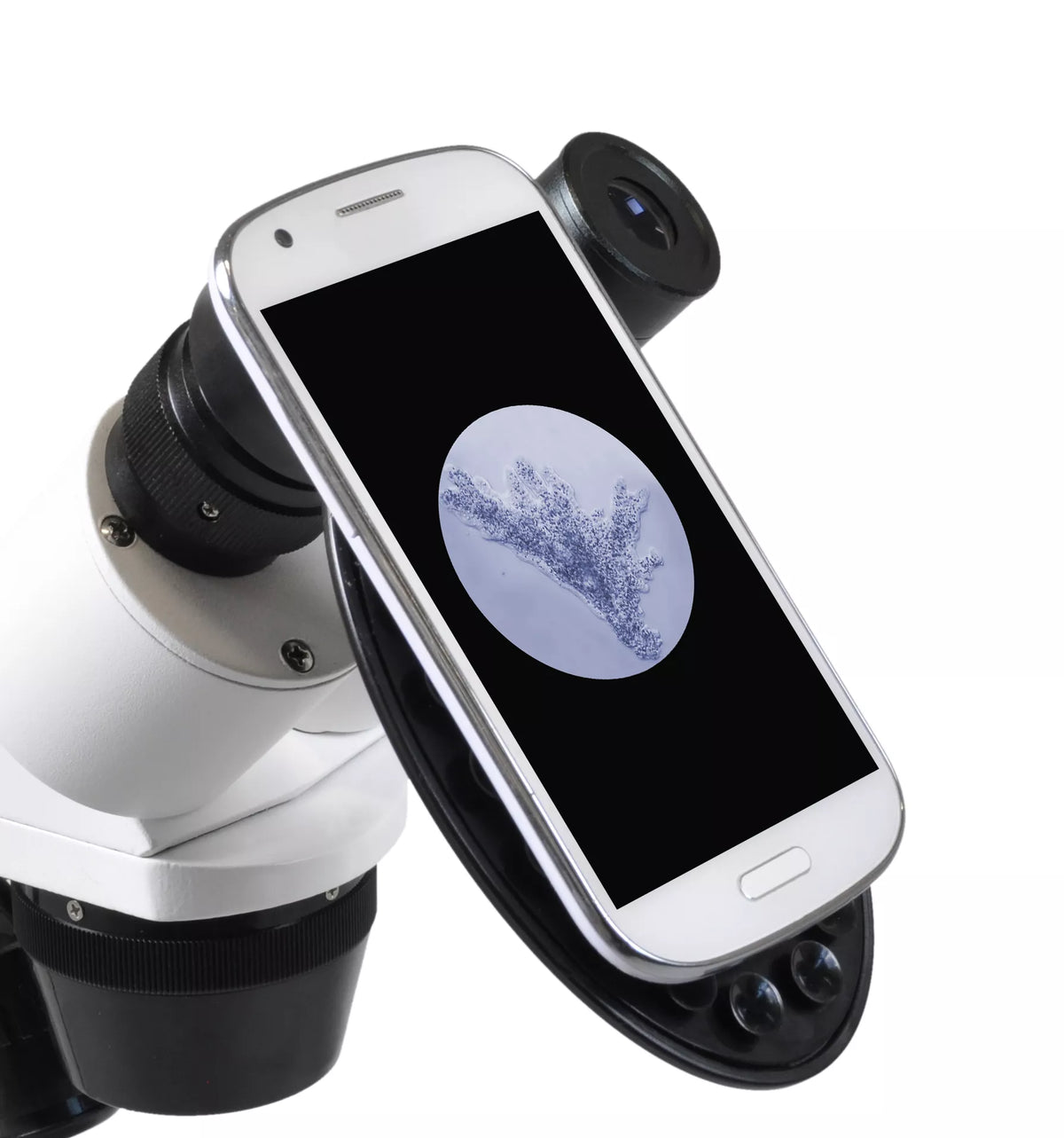 ICD Erudit Microscope (30.5)