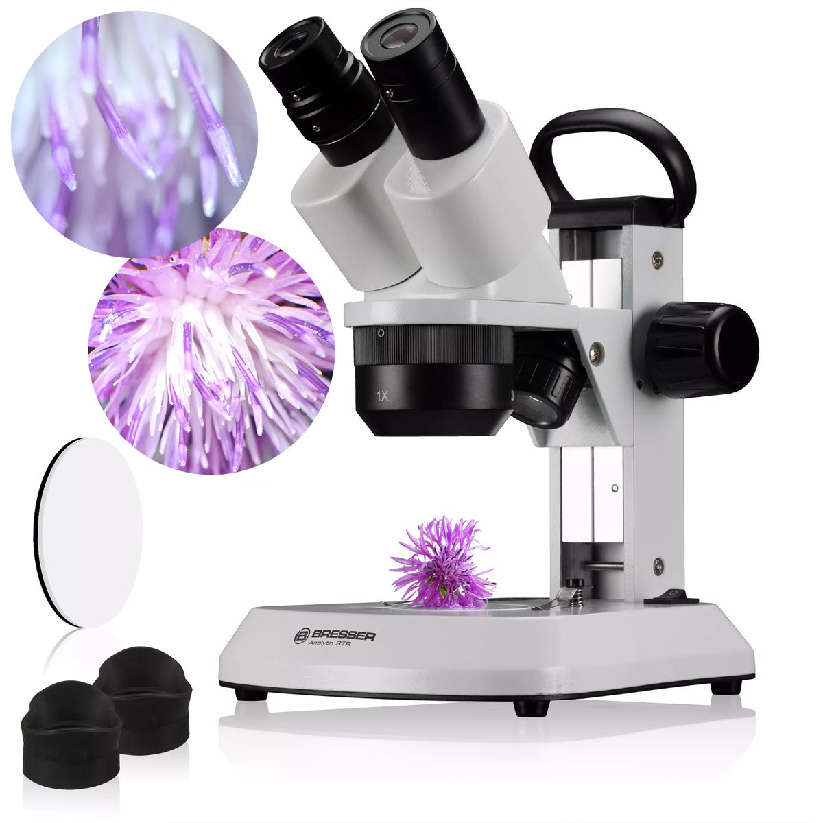 Microscopi estèreo Bresser Analyth STR 10X-40X