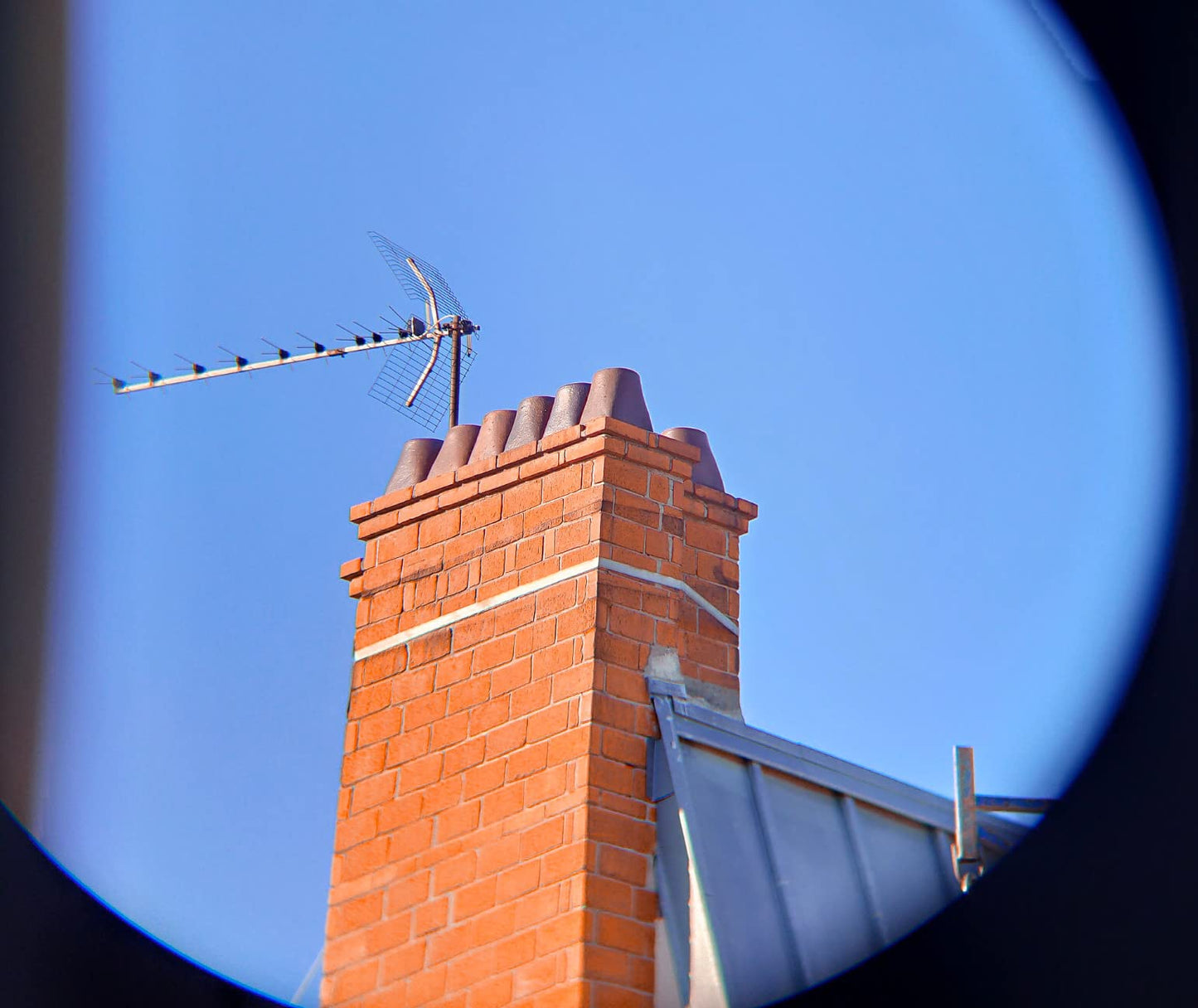 SV202 Binóculos de Alto Desempenho com Vidro ED e Prisma BaK-4 - Modelos 8x32, 10x42, 10x50 - SVBONY