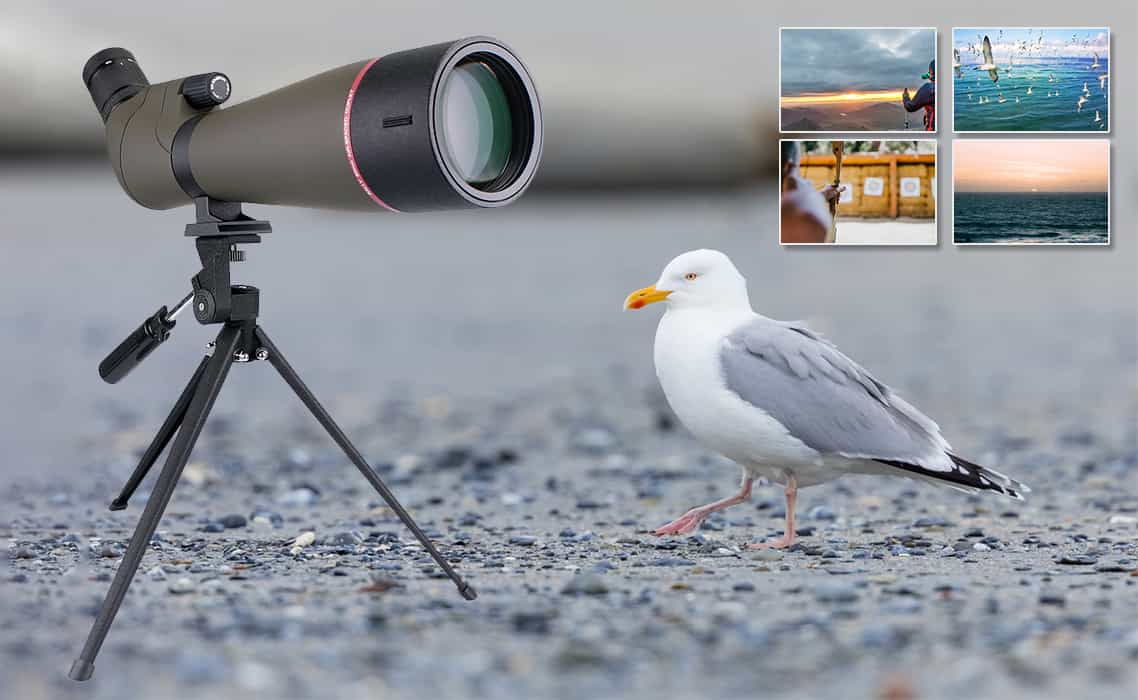 SV13 Optinen Tarkkuusputki 20-60x Kosteudenkestäväjärjestelmällä - SVBONY