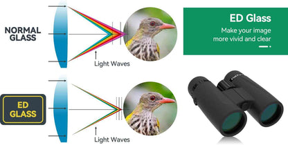 Jumelles 8x42 ED Champ Plat Étanches IP67 avec Prismes BaK-4 - SA205