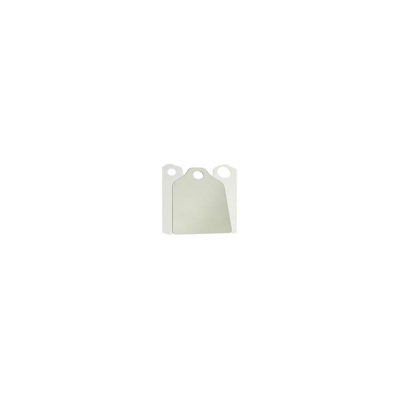 Plaque de Protection Solaire 50,8 mm pour Observations H-alpha - Baader