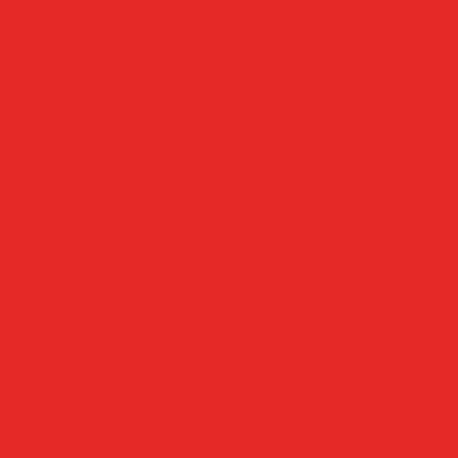 Fond de studio en papier rouge 2,00 x 11 m SBP05 BRESSER