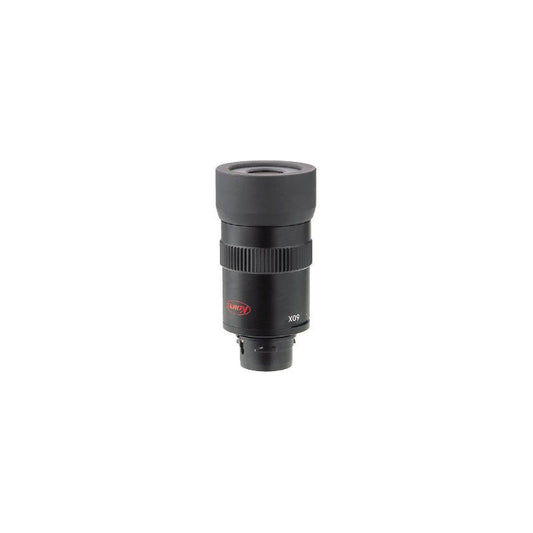 Oculaire zoom 20-60x avec bonnette rotative pour longues-vues - Kowa