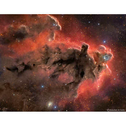 Caméra miniCam8 Mono Combo pour l'astronomie - QHY