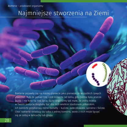 Livre jeunesse Invisible World sur le micromonde - Levenhuk