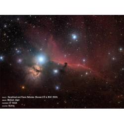 Télescope Astrographe RASA 8'' - Celestron