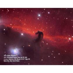 Télescope pour l'astronomie Schmidt-Cassegrain 9,25'' avec Monture CGX - Celestron