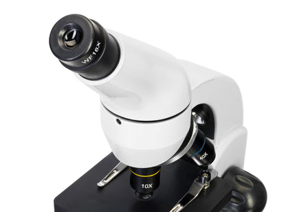 Microscope numérique Rainbow D50L PLUS 2M Moonstone Levenhuk