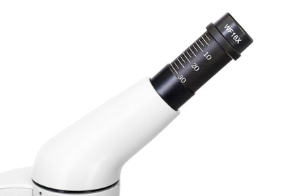 Microscope numérique Rainbow D50L PLUS 2M Moonstone Levenhuk