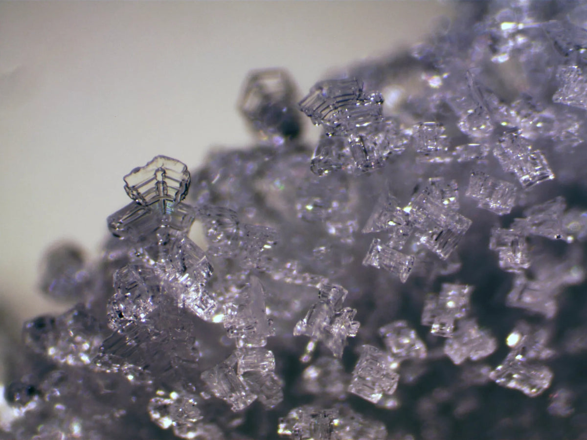 ICD Erudit Microscope (30.5)