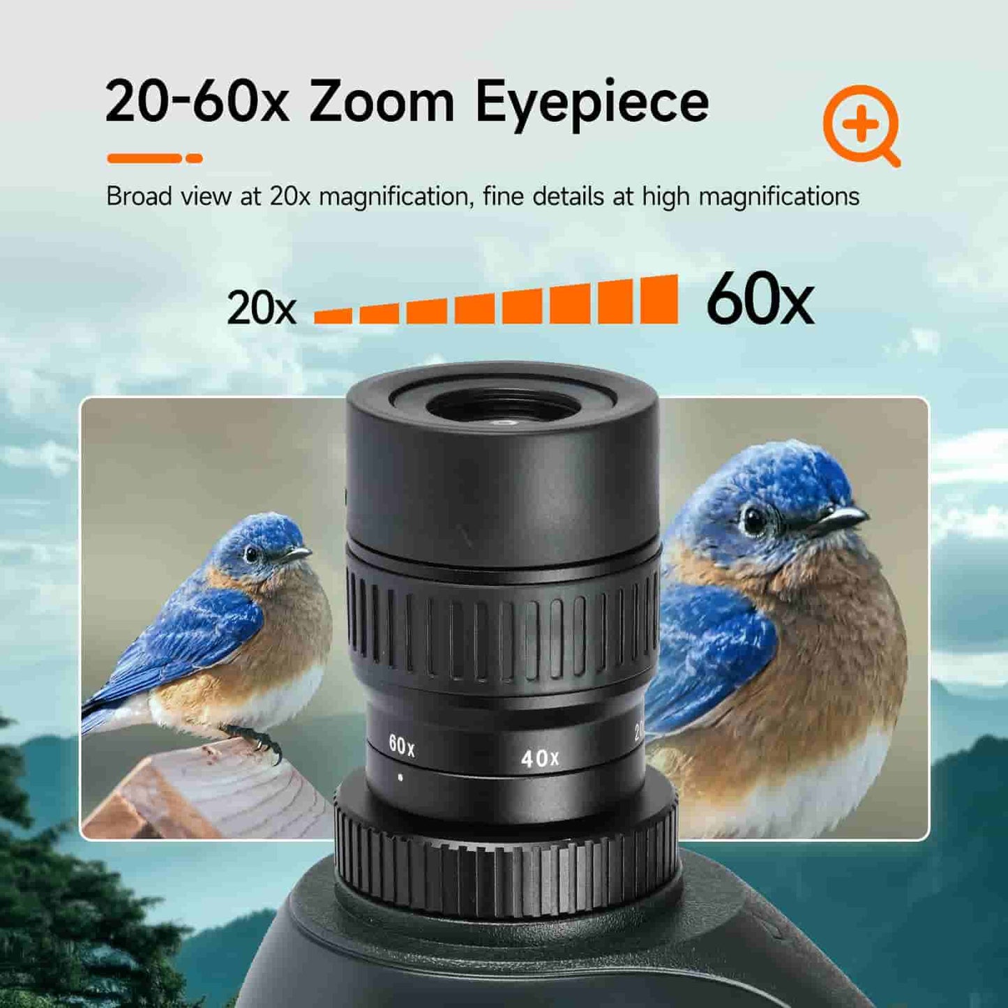 SV406 Longue-vue HD 20-60×80 FMC Double-Focus – SVBONY