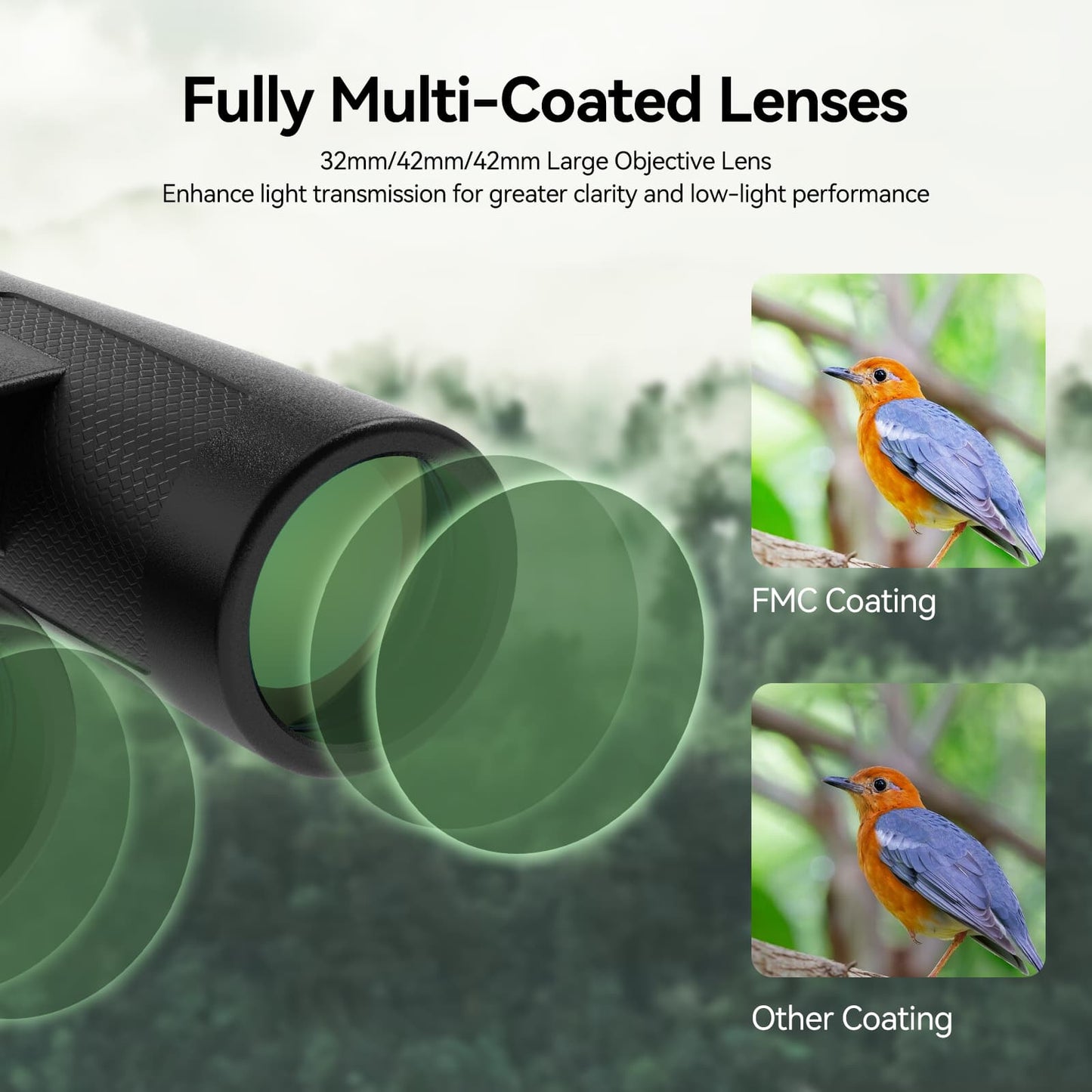 Jumelles ED 8x42 avec Prismes BaK-4 et Étanchéité IPX7 - SVBONY