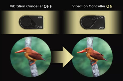 Stable Image Binoculars ATERA H 12x30 - Vixen