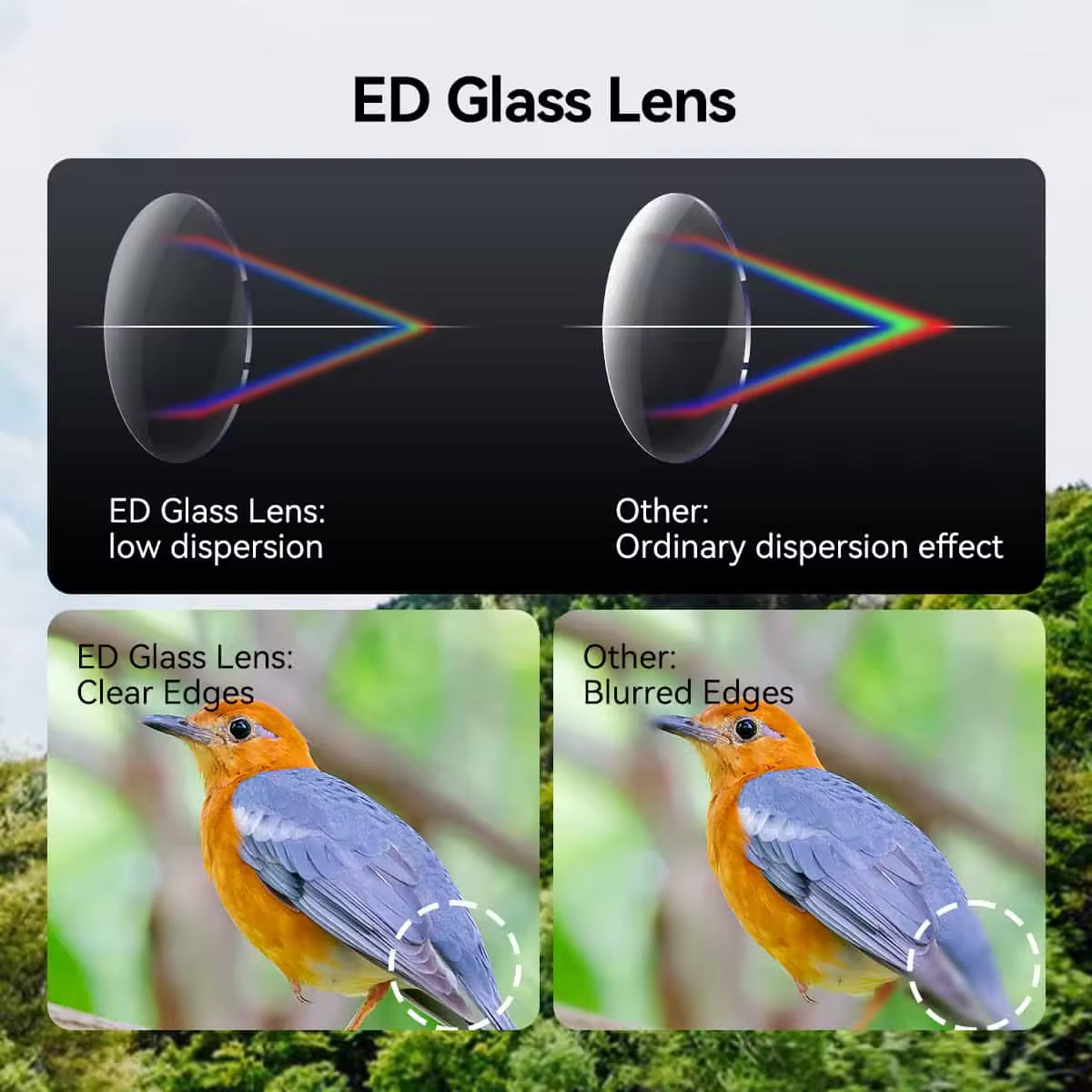 ED 10x42 Waterproof and Fogproof Binoculars with BaK-4 Prism and Multi-Coated Optics - SVBONY